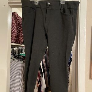 Torrid Studio Gray Pants